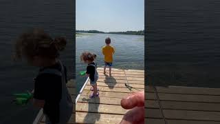 Fishing fishing minnesota fishinglife fisherman fishingtiktoks fishcontent fish mn [upl. by Hembree119]