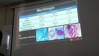 Coccidiosis intestinal [upl. by Mukul]