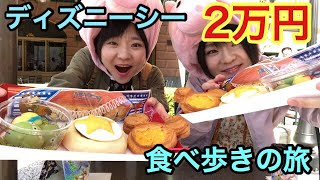 【ディズニー】ディズニーで気が付いたら２万円食べ歩きの旅！【大食い】 [upl. by Nythsa452]