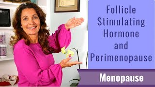 Follicle Stimulating Hormone and Perimenopause  3 Tips to Understanding Your FSH Levels [upl. by Tterrag]