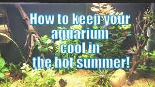 Garage Aquarium  How I keep it Cool in the Hot Summer [upl. by Stuart]