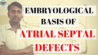 EMBRYOLOGICAL BASIS OF ATRIAL SEPTAL DEFECT II ASD II DEVELOPMENT OF INTERATRIAL SEPTUM [upl. by Nylissej]