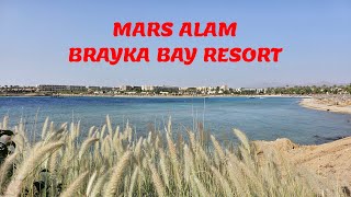 Mars Alam  Brayka Bay Resort [upl. by Biddick641]