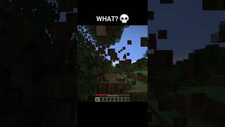 Minecraft WHAT Moment 4 minecraft minecraftshorts minecraftmemes [upl. by Narmi]