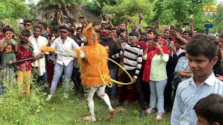 Bilaspur Sher Dance ll 2022 [upl. by Llenrep]