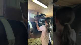 my birthday is on sunday 😋 tackupandride vlog horse lhra fypシ゚ [upl. by Enyawed]