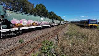 8424 10 29 at Beresfield with 8254 8252 on 8 11 24 [upl. by Llerud322]