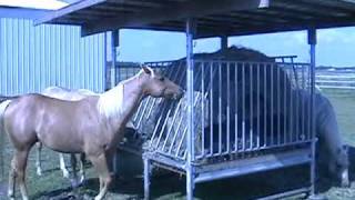 Klene Pipe Structures H8 Hay Feeder for Horses [upl. by Letnahs]