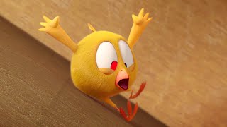 The moving maze  Wheres Chicky  Cartoon Collection in English for Kids  New episodes [upl. by Ayekal]