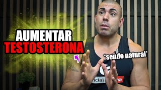 Como naturais podem aumentar testosterona [upl. by Rennob983]