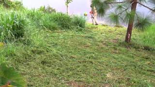 Tall Grass Cutting With a Stihl Fs90r [upl. by Adeirf131]