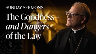 The Goodness—and Dangers—of the Law  Bishop Barrons Sunday Sermon [upl. by Dallman]