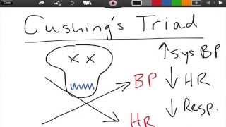 Cushings Triad  ICP  EMTprepcom [upl. by Narret]