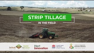 Benefits of Strip Tillage in Sweet Corn [upl. by Retxed]