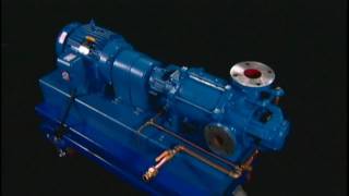 NASH Liquid Ring Vacuum Pump  How It Works [upl. by Nhar]