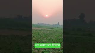 farmer farming love tunefalsalugayi cow kisan2021 [upl. by Etnoek]