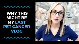 Why This Might Be My Last Pet Cancer Vlog  VLOG 123 [upl. by Alberta]