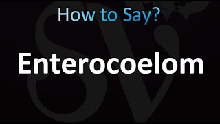 How to Pronounce Enterocoelom correctly [upl. by Nabal]