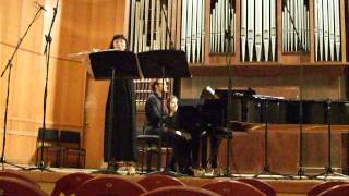 Devienne Flute Sonata in D major  2nd movement [upl. by Luce472]