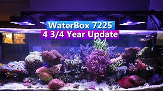 Waterbox 7225 Peninsula  4 34 Year Update  Saltwater Aquarium Tank Tour [upl. by Ahtera361]