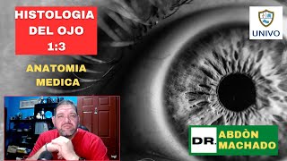 HISTOLOGIA DEL OJO 1 3 [upl. by Adnohr]