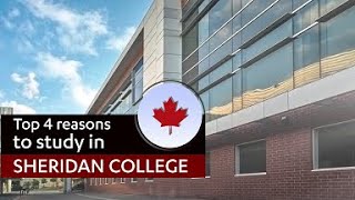 Top reasons to study in Sheridan college  Study in Canada [upl. by Yarased443]