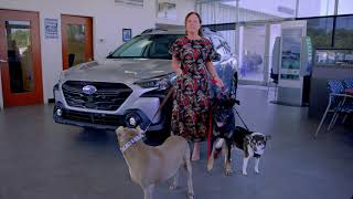 Parkway Subaru is supporting Paws Place Dog Rescue during the Subaru Loves Pet initiative [upl. by Aisek]