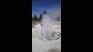 Yellowstone fumarole steam vent [upl. by Harday]