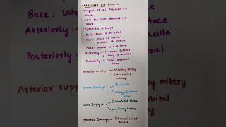 bdshortsanatomy knruhs dentistry medico I have shared the notes related to para nasal air sinus [upl. by Ietta]