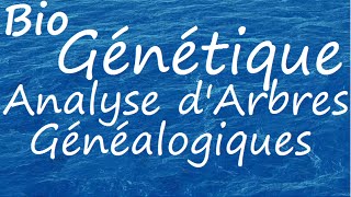 Génétique Analyse Arbre Généalogique [upl. by Alyhc]