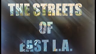 Mark Guerrero quotThe Streets of East LAquot Music Video [upl. by Camey]