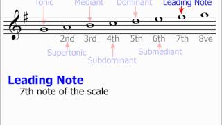 Technical Names of Scale Notes Music Theory [upl. by Ayekahs468]