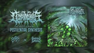 DECOMPOSITION OF ENTRAILS  Pestilential Synthesis  BRUTAL MIND X PATHOLOGICAL EXPLICIT Recs [upl. by Ely565]