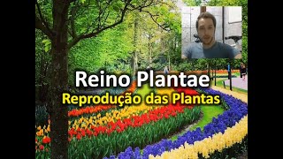 Reprodução das Plantas [upl. by Uase]