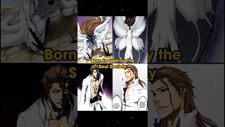 Yokoso watashi no soul society bleach [upl. by Volny140]