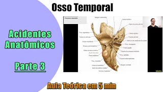 Osso Temporal  Aula Teórica  Parte 3  Anatomia Humana [upl. by Htepsle]