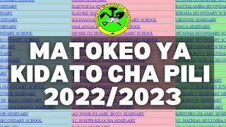 JINSI YA KUTAZAMA MATOKEO YA KIDATO CHA PILI 202223FORM TWO RESULTS 2022 NECTA [upl. by Paulina649]