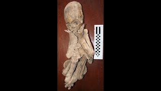 The Elongated Skulls Of Paracas Peru And Their DNA Update June 2019 [upl. by Messab]