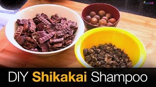 DIY Shikakai Shampoo Preparation  100 Natural Shampoo  Home Made Herbal Shampoo [upl. by Cinomod]