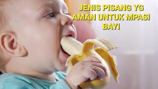 REKOMENDASI IBUIBU JENIS PISANG YG AMAN UNTUK MPASI BAYI [upl. by Yaffit]