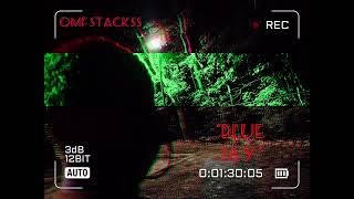 QMF Stackss  Blue Jay Prod By Me [upl. by Kasevich722]