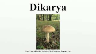 Dikarya [upl. by Nunnery]