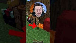 NERVIGE DINGE in MINECRAFT 😨 [upl. by Onifled]