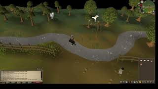 OSRS Druidic Ritual Ironman Quest Guide [upl. by Nhguavahs]