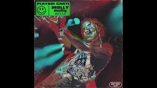 Playboi carti  Not RealMolly Fl remake [upl. by Sidnac]