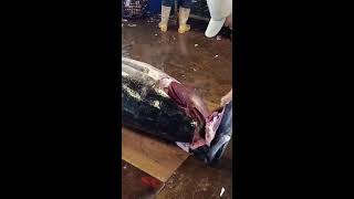 Amazing Giant Bluefin Tuna Cutting Skill [upl. by Ailaht]