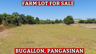 98 FOR SALE FARM LOT IN BUGALLON PANGASINAN [upl. by Bac]