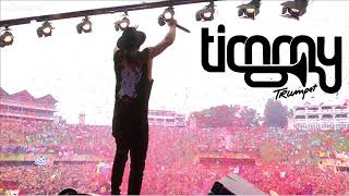 Timmy Trumpet Tomorrowland 2017  Something Just Like This  The Chainsmokers amp Coldplay [upl. by Hedva647]