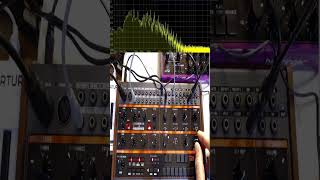 Behringer Grind Model Modulating Properly Short 1  synthesizer dawless synthjam [upl. by Odraude822]