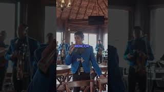 Mi Fracaso Short  Mariachi Los Galleros de Danny Rey [upl. by Jamal]